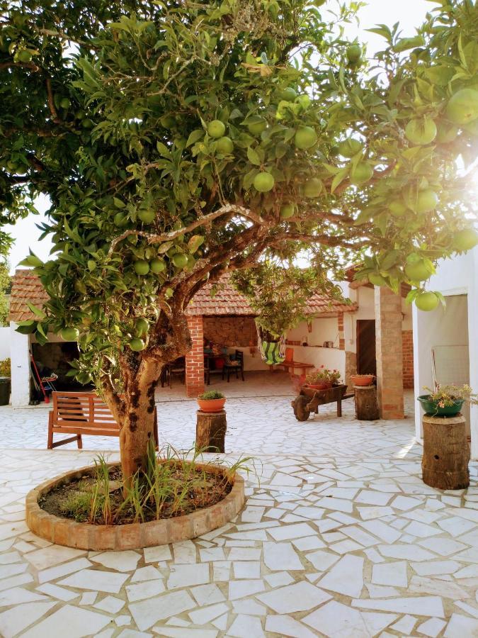 Moita Cottage 외부 사진